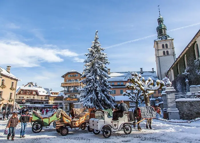 Roseau Appartement *